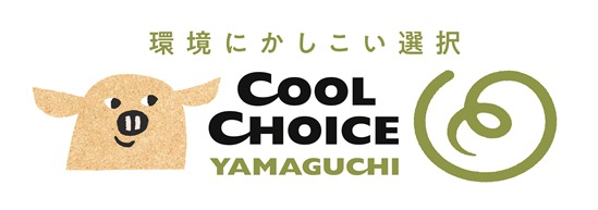 coolchoice.jpg